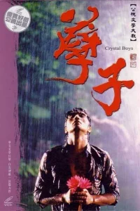 Хрустальные парни (2003)